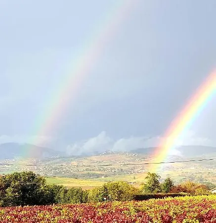 Domaine De Solemy Holiday home *