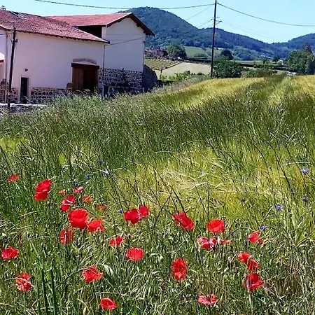 Domaine De Solemy