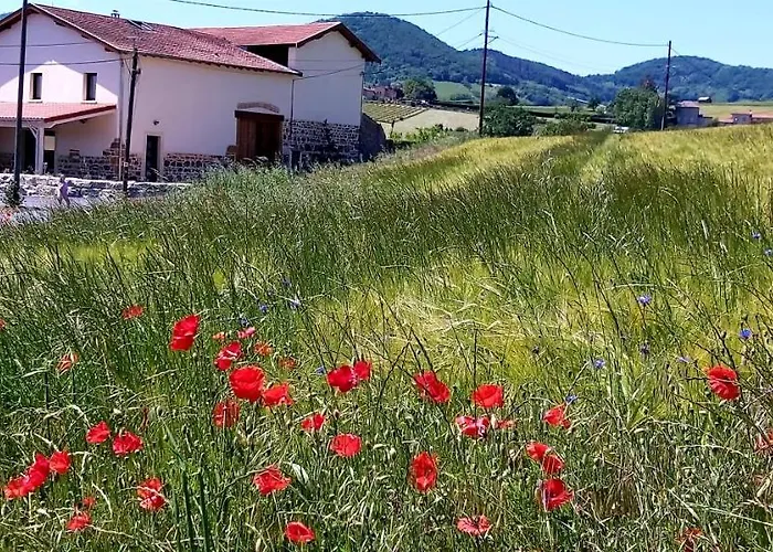 Domaine De Solemy